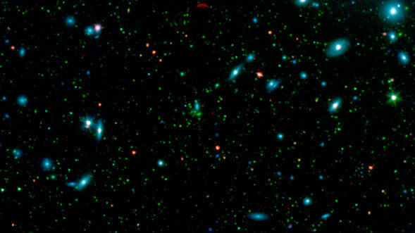 Dwarf Galaxies in the Coma Cluster